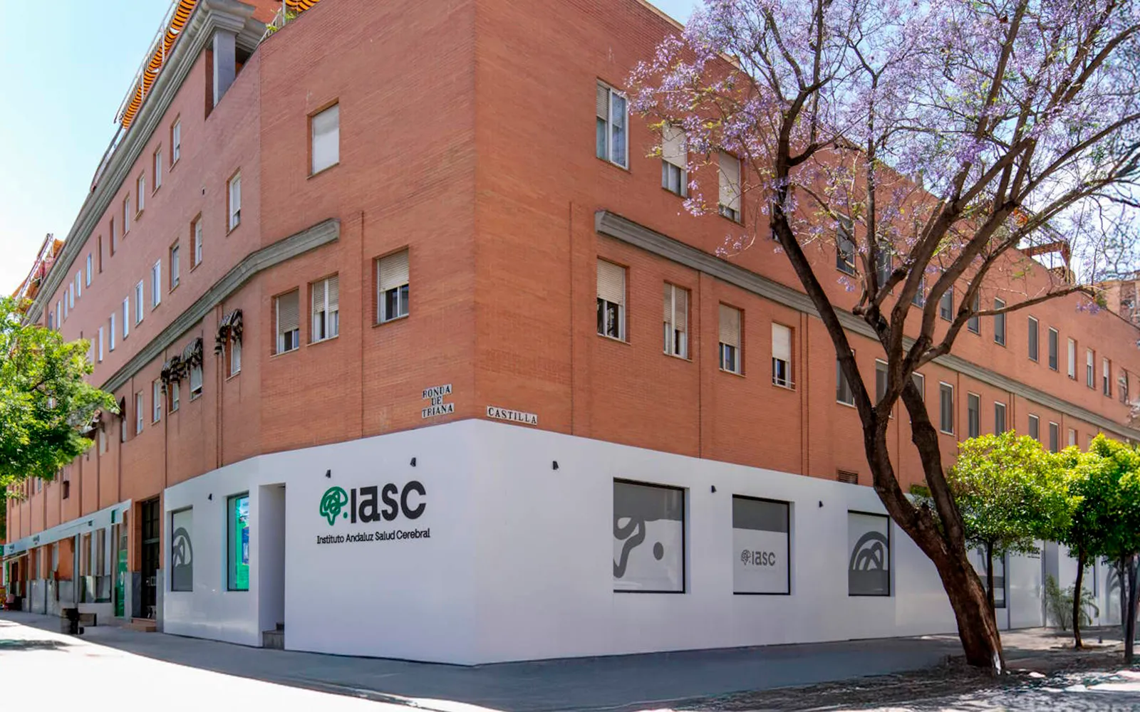 Consulta de neuropsicología y salud cerebral.